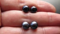 peacock black pearl earrings. pearl studs. 6.5mm to 7mm pearls on sterling silver posts.